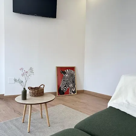 公寓 Lemos Agra 蒙福特·德·莱蒙斯